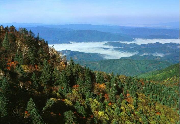 岗山森林公园