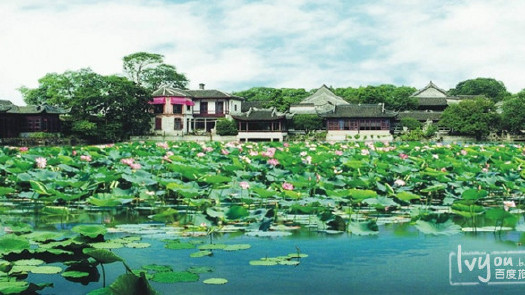 小莲庄